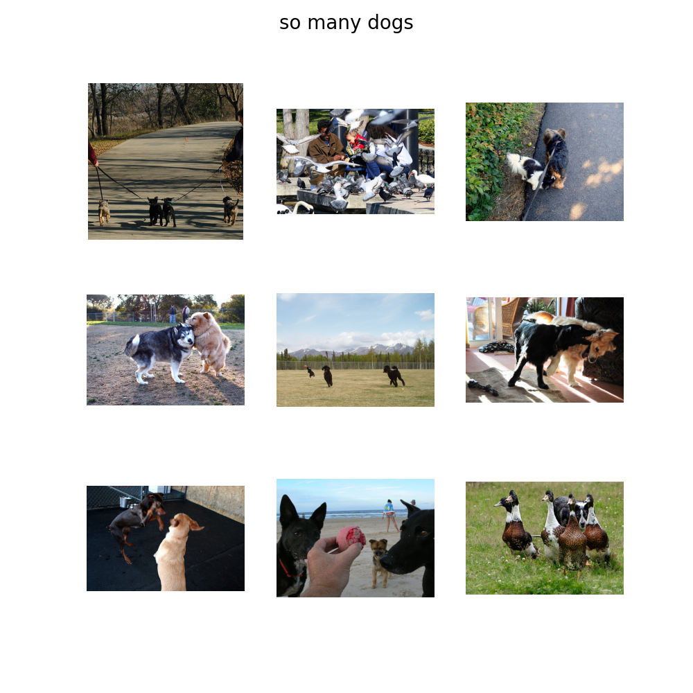 many_dogs