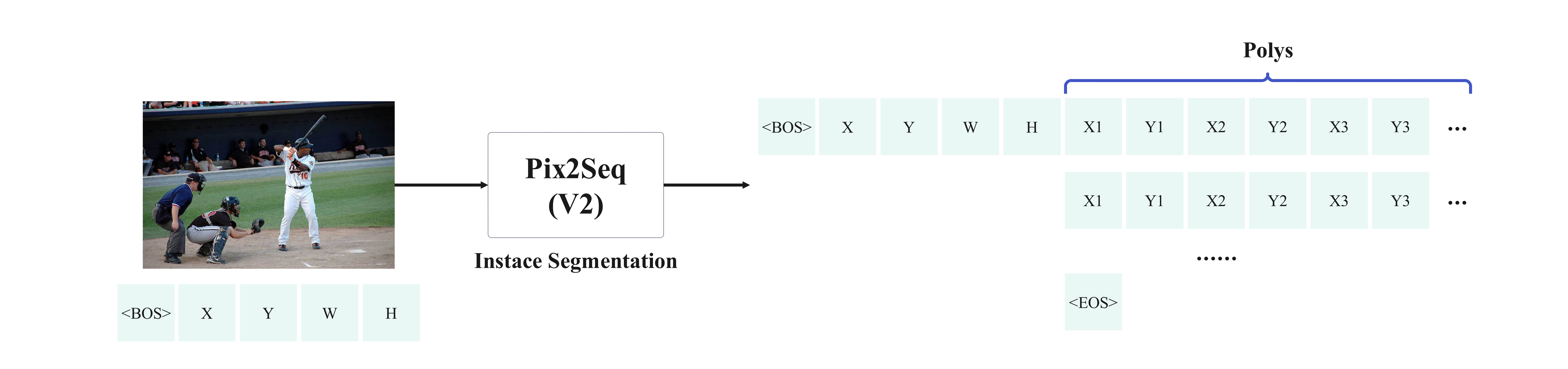 segmentation